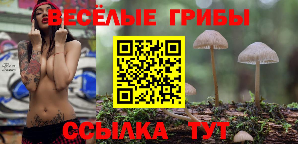 Галлюциногенные грибы Magic Shrooms Ессентуки