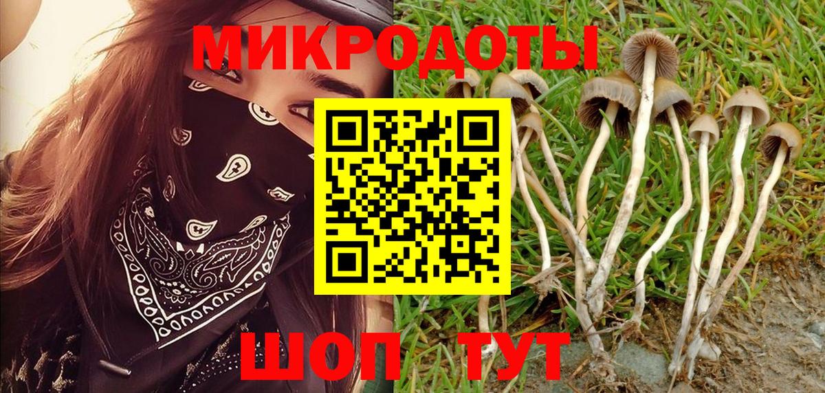 Ессентуки  Галлюциногенные грибы GOLDEN TEACHER  Вход с VPN 