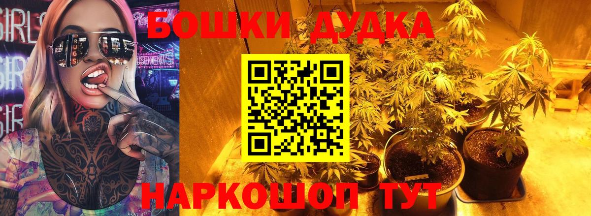 Канабис OG Kush Ессентуки
